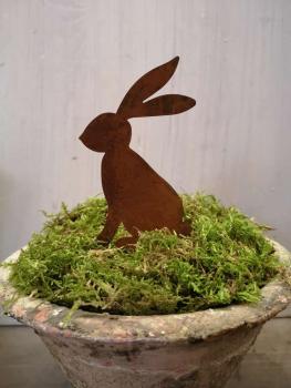 kleiner Rosthase zum Stecken